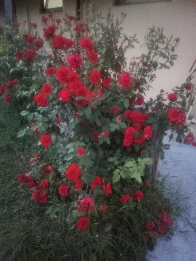 דירות Narzole Il Mulino Di Geminella מראה חיצוני תמונה